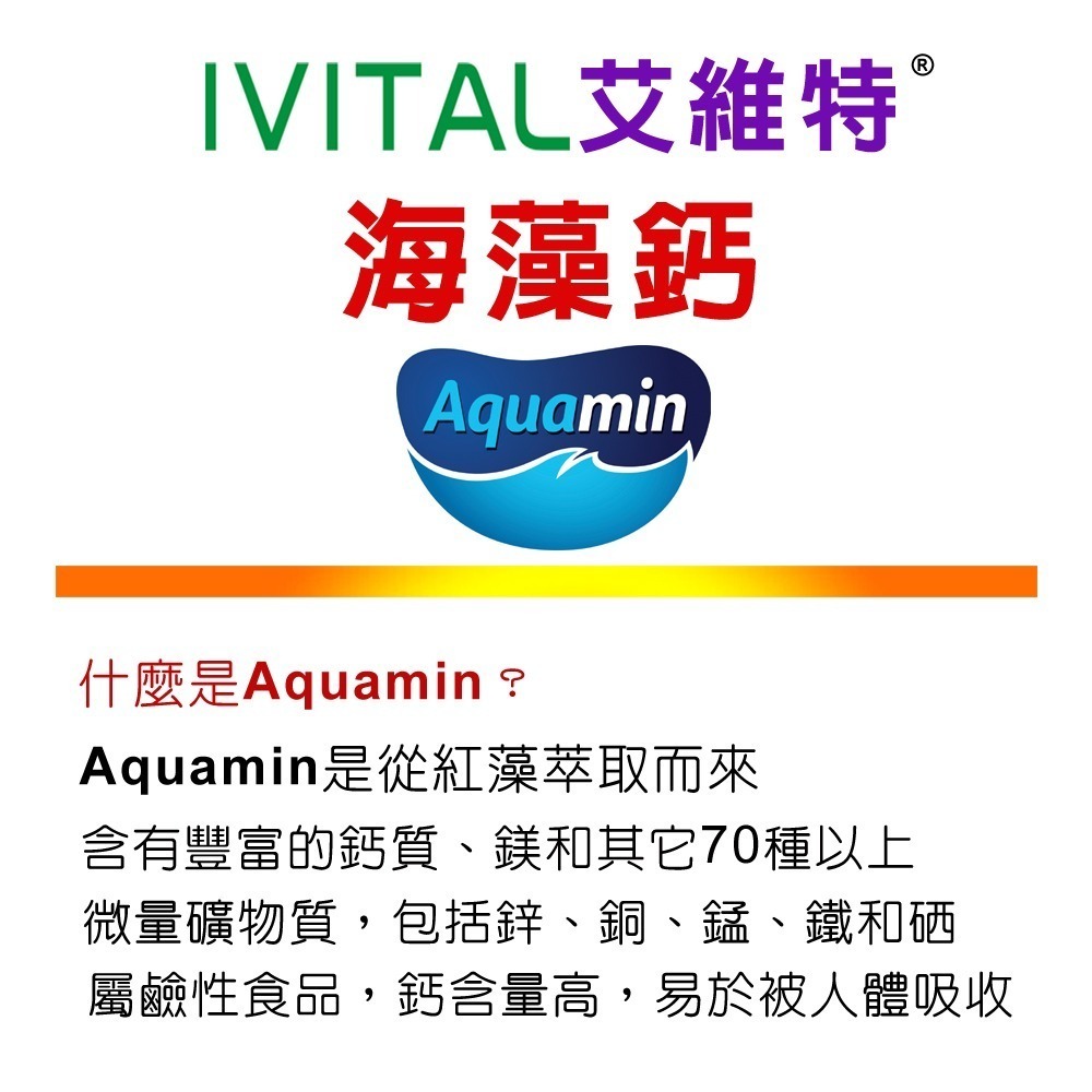 IVITAL艾維特®海藻鈣+蕎麥D3+K2微甜可嚼錠100錠「5送1瓶組」全素-細節圖2