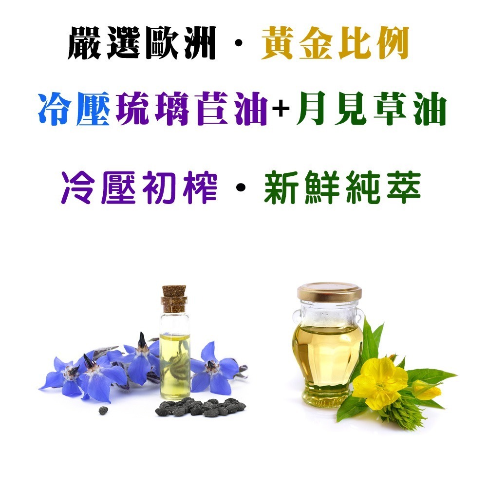 IVITAL婦利舒®冷壓琉璃苣油+月見草油軟膠囊(60粒)「買2送1組」【正公司貨 月月調節女性生理機能】免運-細節圖4