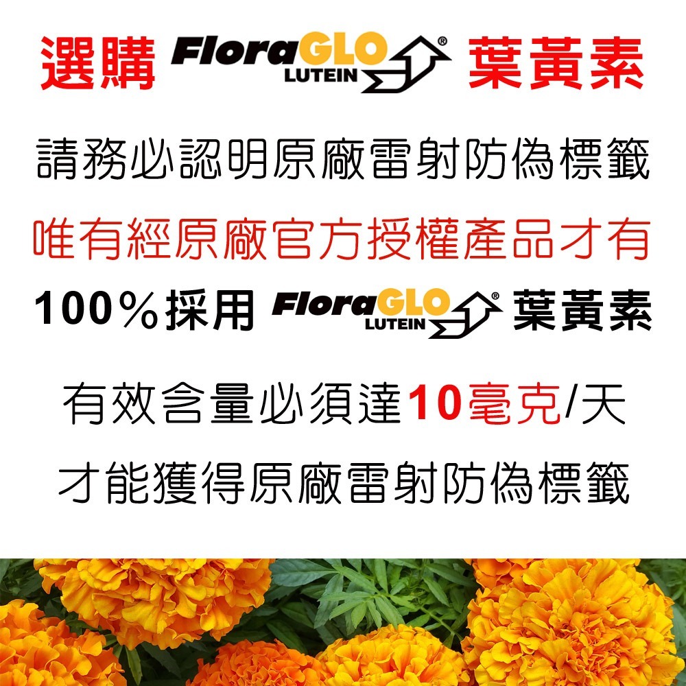 IVITAL艾維特®葉黃素+玉米黃素+智利酒果+義大利山桑子膠囊「買3送1組」【正KEMIN原廠授權】全素免運-細節圖3
