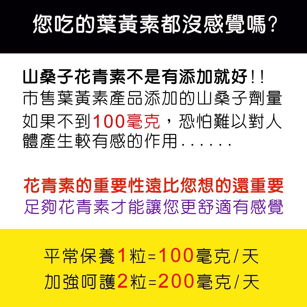 IVITAL艾維特®葉黃素+玉米黃素+智利酒果+義大利山桑子膠囊「買3送1組」【正KEMIN原廠授權】全素免運-細節圖6