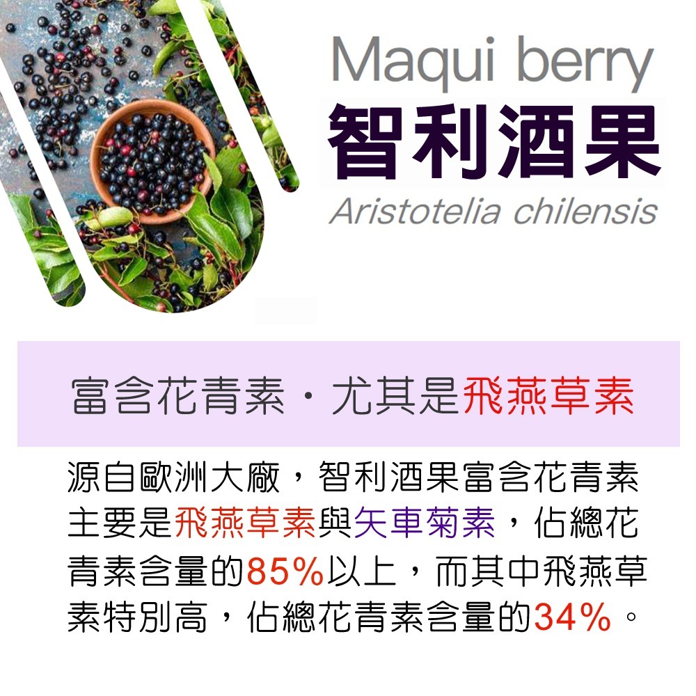 IVITAL艾維特®葉黃素+玉米黃素+智利酒果+義大利山桑子膠囊「買3送1組」【正KEMIN原廠授權】全素免運-細節圖7
