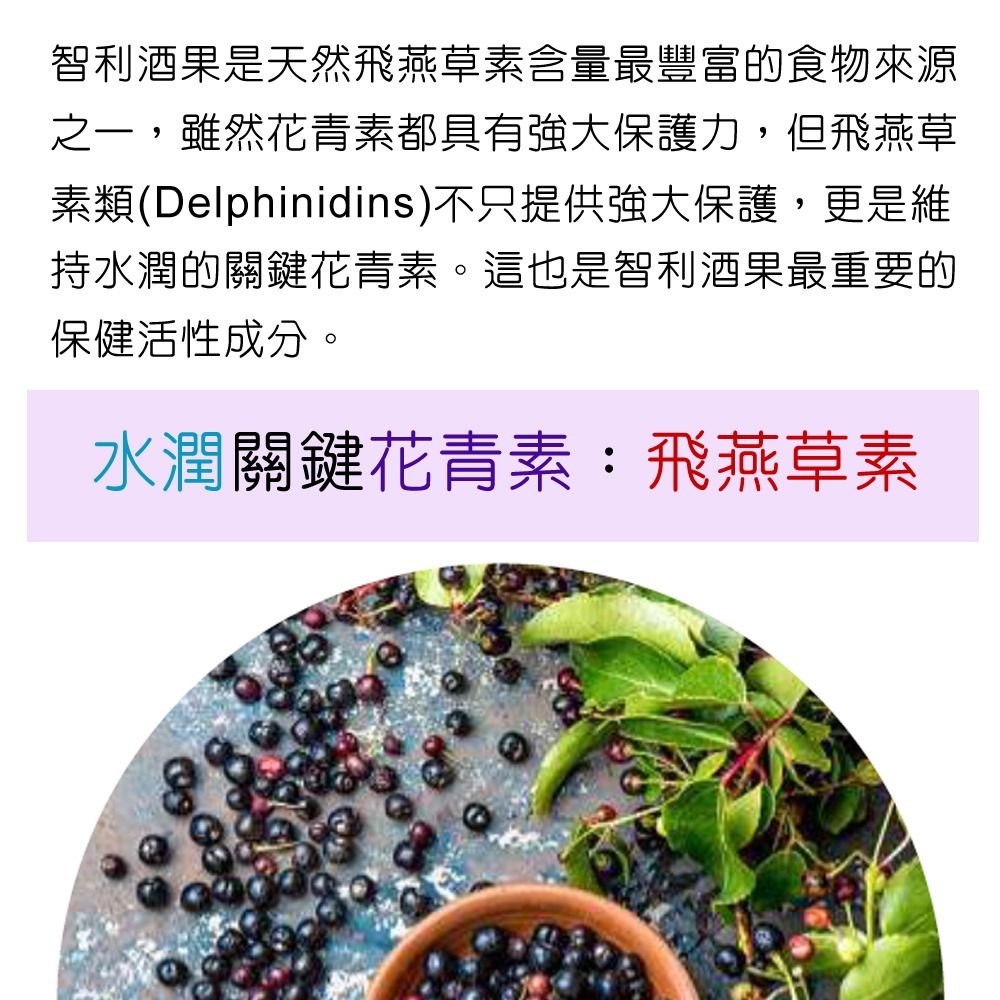 IVITAL艾維特®葉黃素+玉米黃素+智利酒果+義大利山桑子膠囊「買3送1組」【正KEMIN原廠授權】全素免運-細節圖8