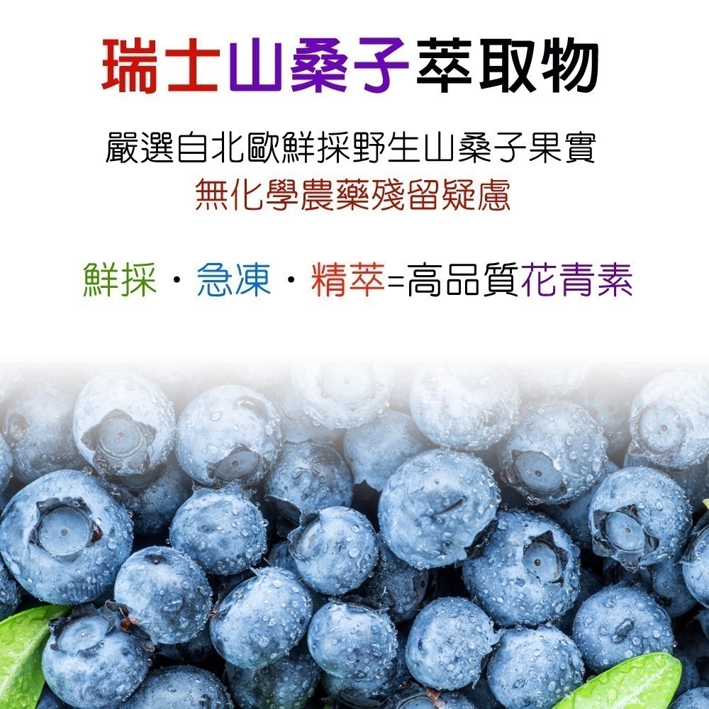 第三代複方葉黃素+玉米黃素+日本黑豆皮+瑞士山桑子萃取物膠囊「買3送1組」【正KEMIN原廠授權】全素免運-細節圖9
