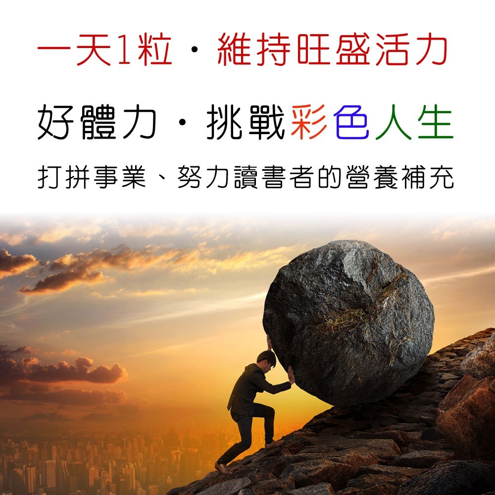 IVITAL艾維特®肝精+B群+朝鮮薊萃取物膠囊(60粒)「買3送1組」【法國進口朝鮮薊萃取物、德國進口肝精 】免運-細節圖6
