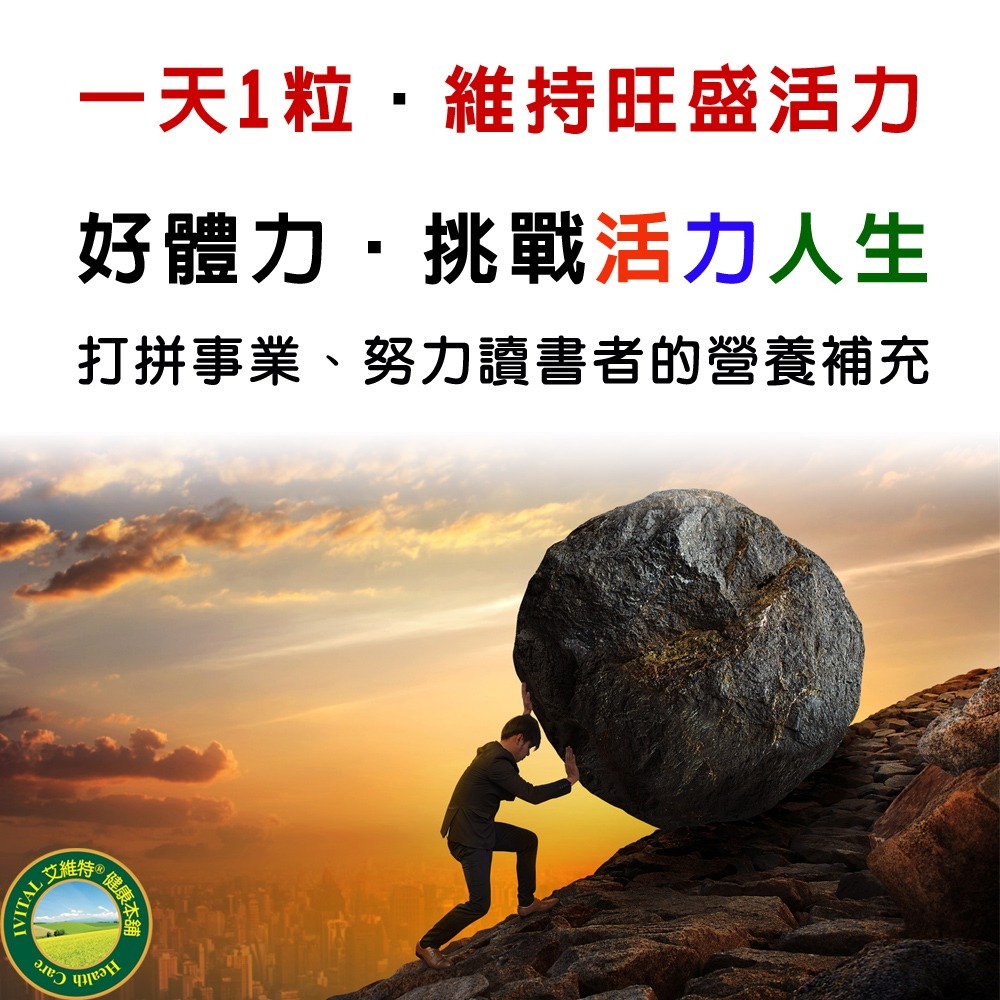 IVITAL艾維特®肝精+B群+朝鮮薊萃取物膠囊(90粒)「買3送1組」【法國進口朝鮮薊萃取物、德國進口肝精 】免運-細節圖4