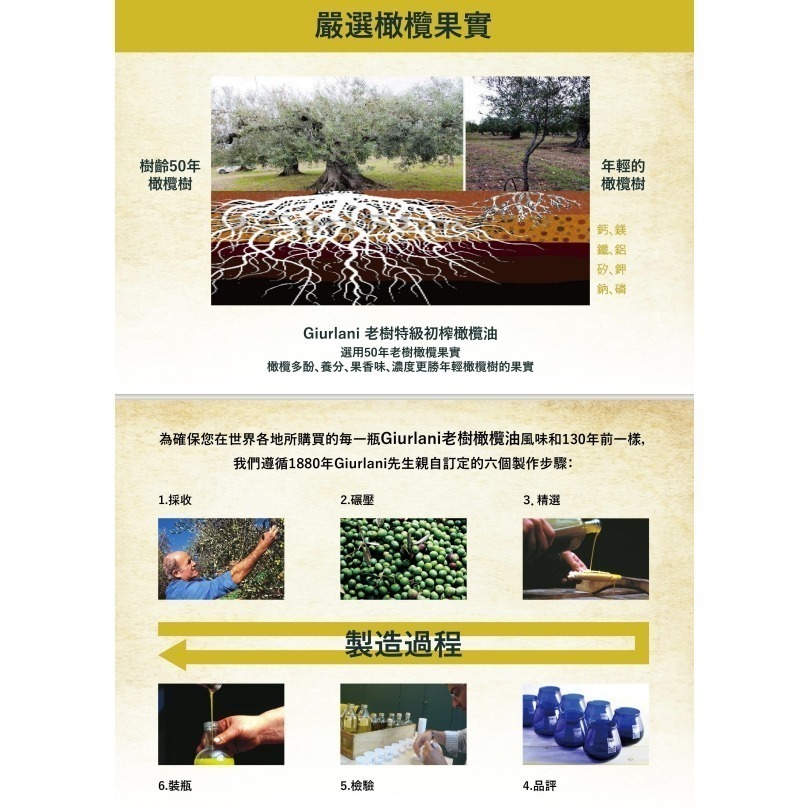 義大利GIURLANI喬凡尼老樹特級初榨橄欖油 500ml 超取限重5公斤-細節圖3