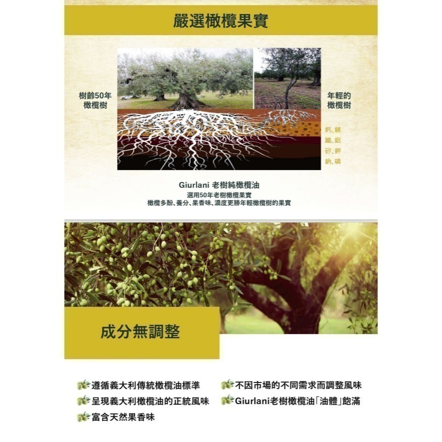 義大利GIURLANI喬凡尼老樹純橄欖油1L/2L (超取限重5公斤請勿下超過2罐)-細節圖5