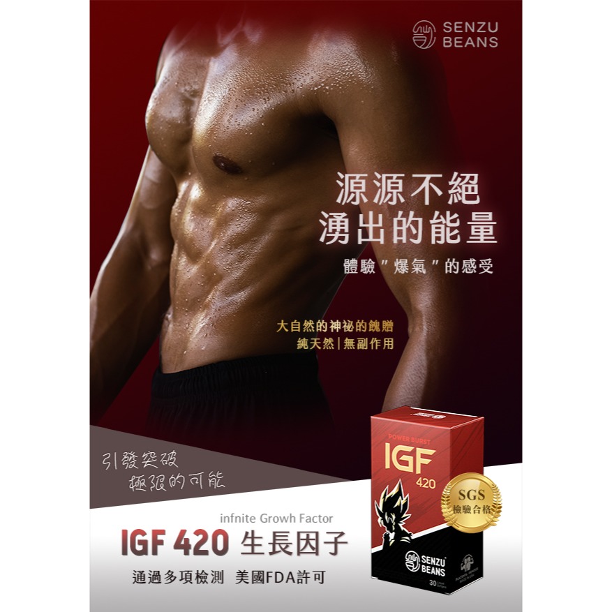 SENZU BEANS 【仙豆】 IGF420生長因子 (Infinite Growth Factoe）-細節圖2