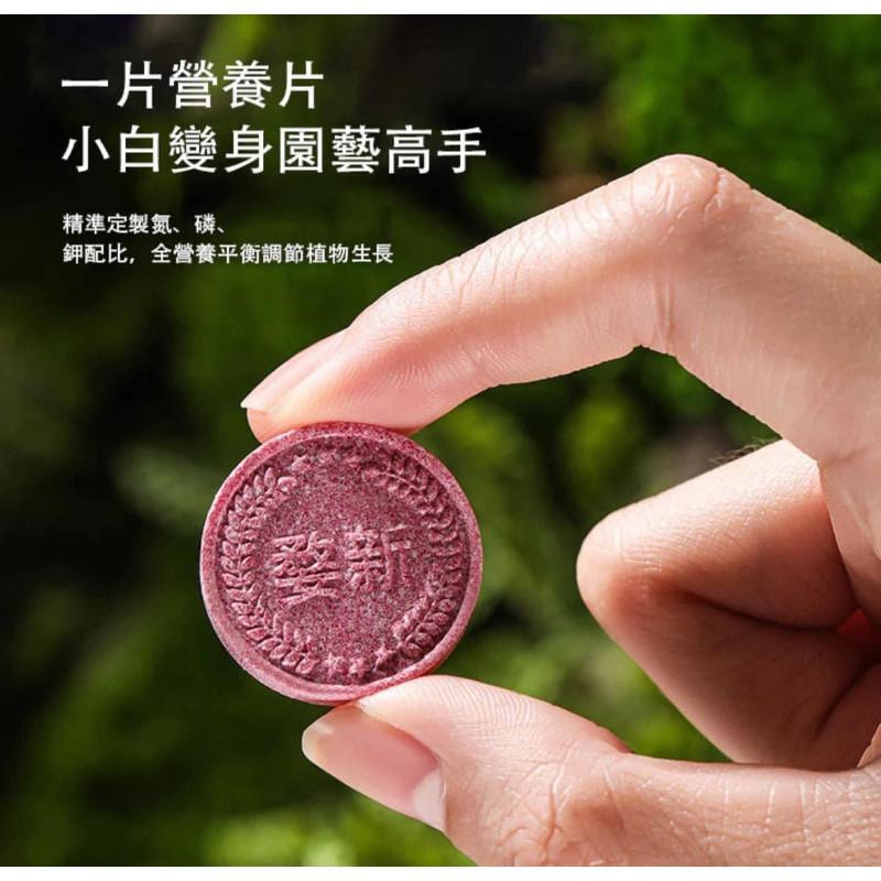綠植花卉緩釋肥長效通用肥料(一組2瓶)-細節圖3