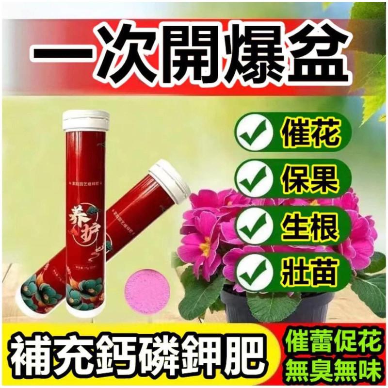 綠植花卉緩釋肥長效通用肥料(一組2瓶)-細節圖4