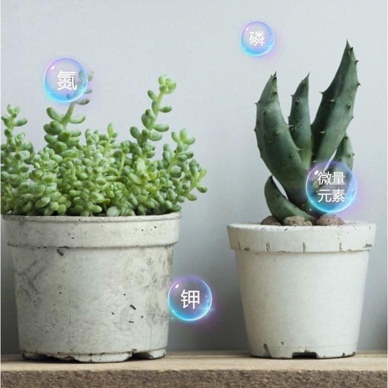 綠植花卉緩釋肥長效通用肥料(一組2瓶)-細節圖6