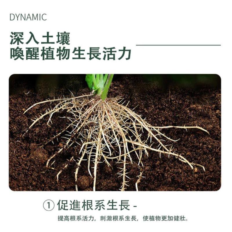 綠植花卉緩釋肥長效通用肥料(一組2瓶)-細節圖7