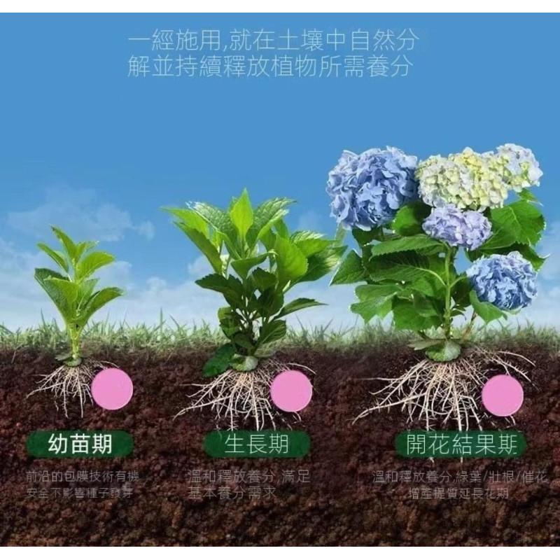 綠植花卉緩釋肥長效通用肥料(一組2瓶)-細節圖8