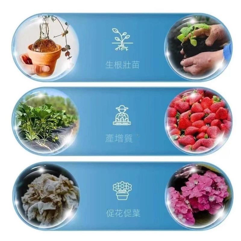 綠植花卉緩釋肥長效通用肥料(一組2瓶)-細節圖9