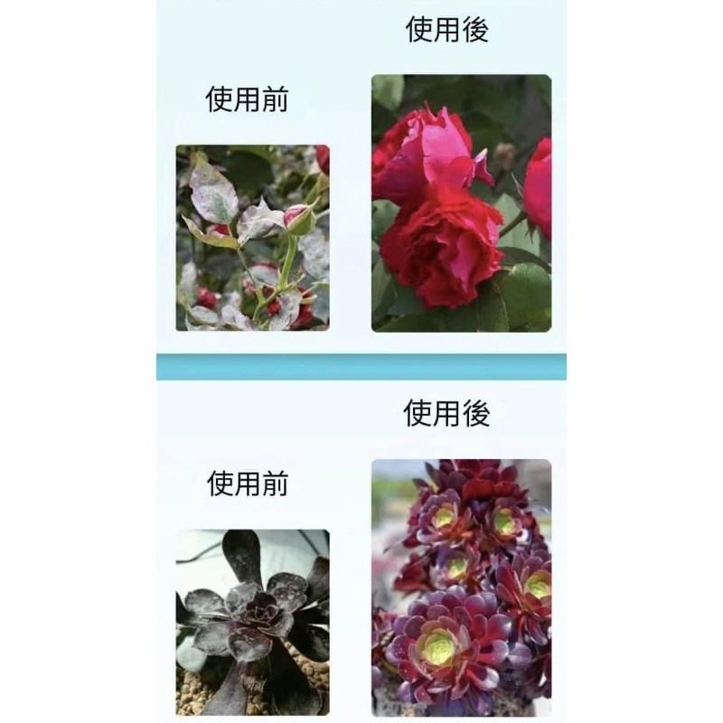 花病康植物花卉通用型抗菌噴霧-細節圖5