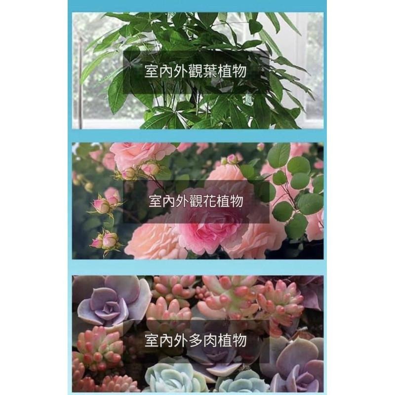 花病康植物花卉通用型抗菌噴霧-細節圖7