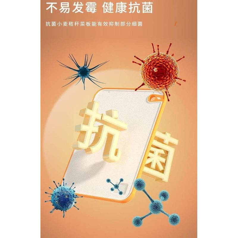 99%抗菌防霉小麥秸稈防滑砧板-細節圖4