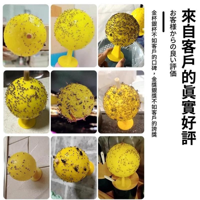 日本飛蟲果蠅誘捕沾黏除蟲球(一組3套)-細節圖2