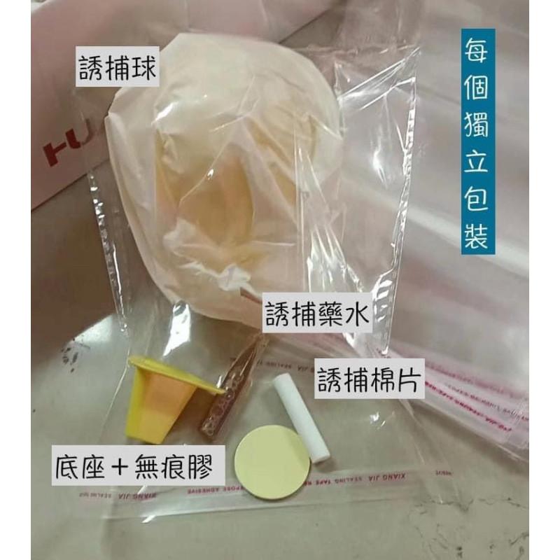 日本飛蟲果蠅誘捕沾黏除蟲球(一組3套)-細節圖7