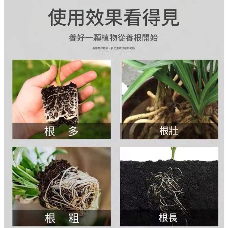 花卉綠植通用控釋肥長效顆粒-細節圖3