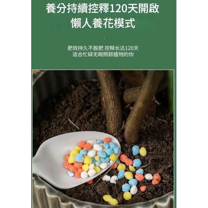 花卉綠植通用控釋肥長效顆粒-細節圖4