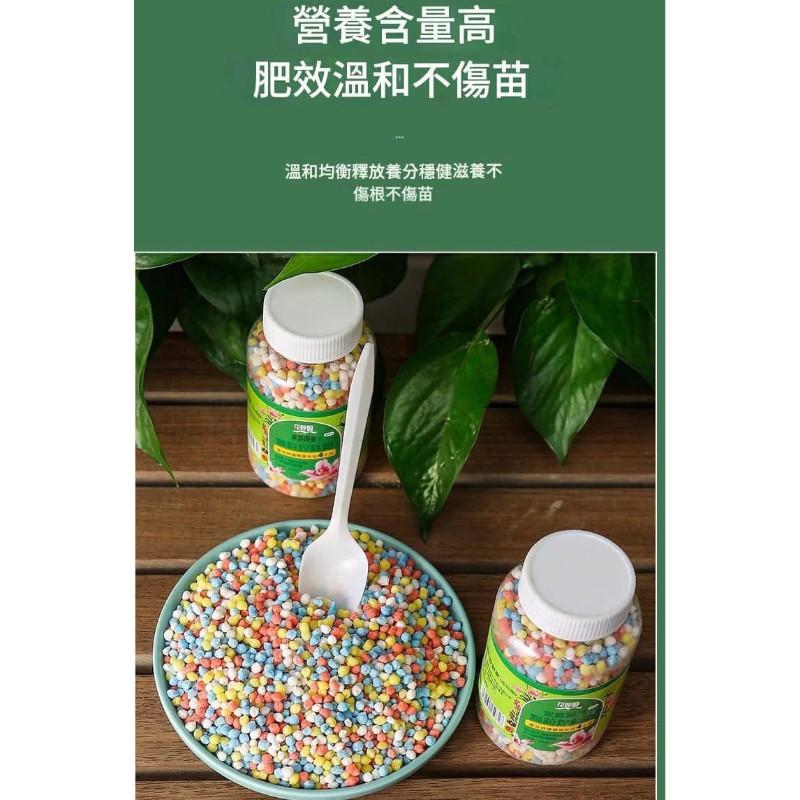 花卉綠植通用控釋肥長效顆粒-細節圖6