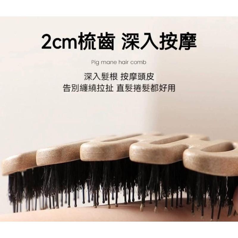 松塔SPA蓬鬆豬鬃毛＋簍空排骨梳子(一組2個)-細節圖7