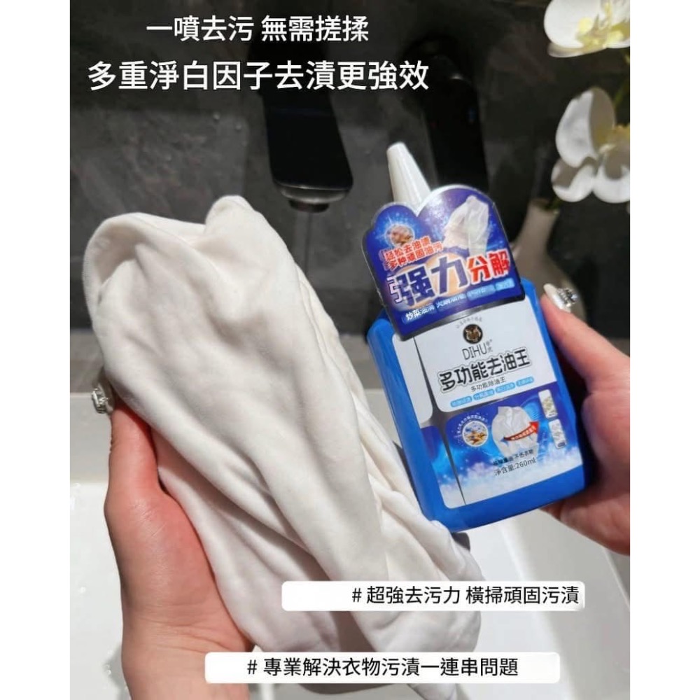 【帝虎多功能去漬去血漬去油王】-細節圖2