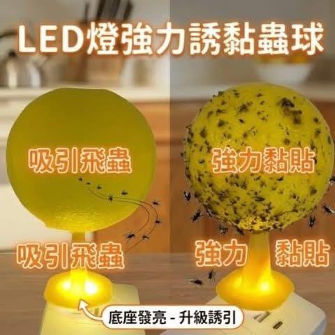 新款LED發光球形果蠅蒼蠅誘捕蟲器(一組2顆)-細節圖5