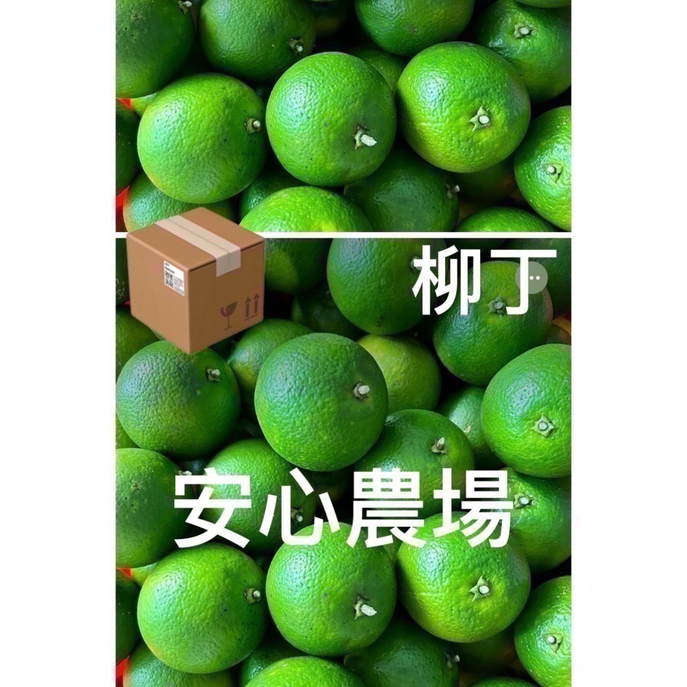 《安心農場》柳丁7台斤$400（含運）草耕無毒施作~溯源農糧產品-細節圖5