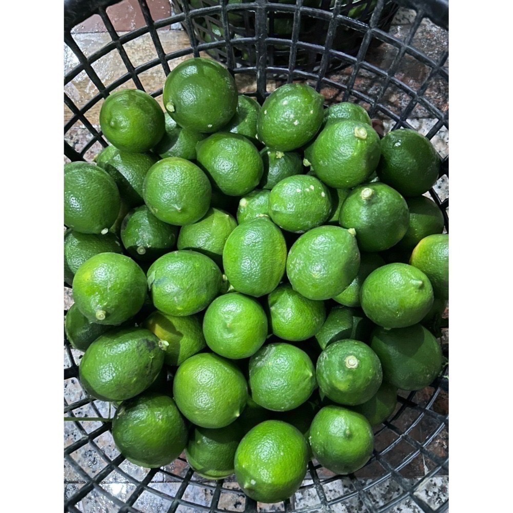 《安心農場》翡翠檸檬(7台斤$450）草耕無毒施作~溯源農糧產品-細節圖7