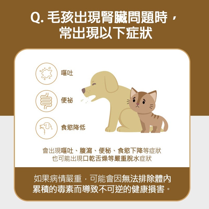 【Mypet Doctor】Eloi Renal 寵腎護(2gx30包) 犬貓適用 寵物腎臟保健粉 寵物保健 產地韓國-細節圖3