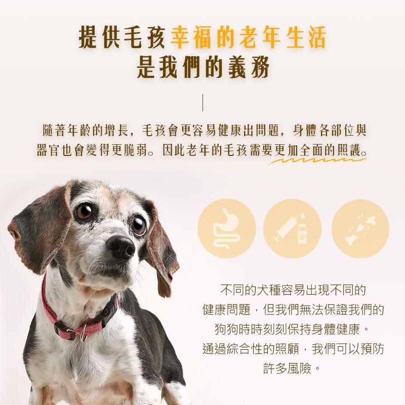 【Mypet Doctor】Clode Old 長寵護(2gx30包) 犬貓適用 老年犬貓保健粉 寵物保健食品 產地韓國-細節圖3