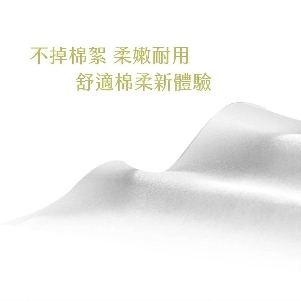 宏瑋 太厚駕到乾濕兩用洗臉巾 80抽 舒柔款 平紋 台灣製-細節圖4