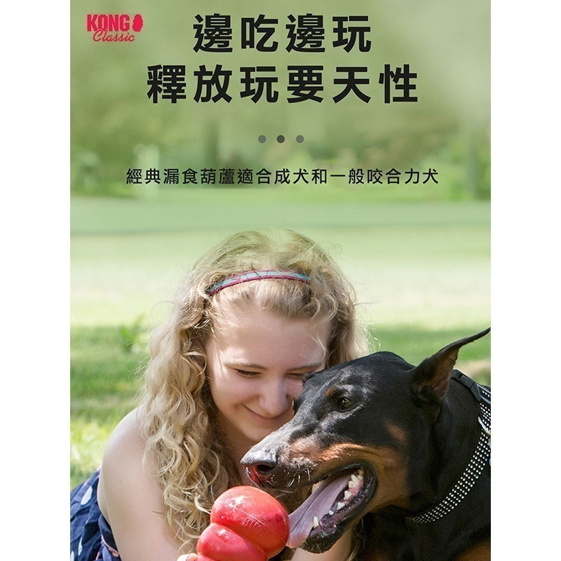 KONG 超耐咬葫蘆玩具 (粉藍隨機-幼犬) 美國製造 寵物玩具 漏食球-細節圖3