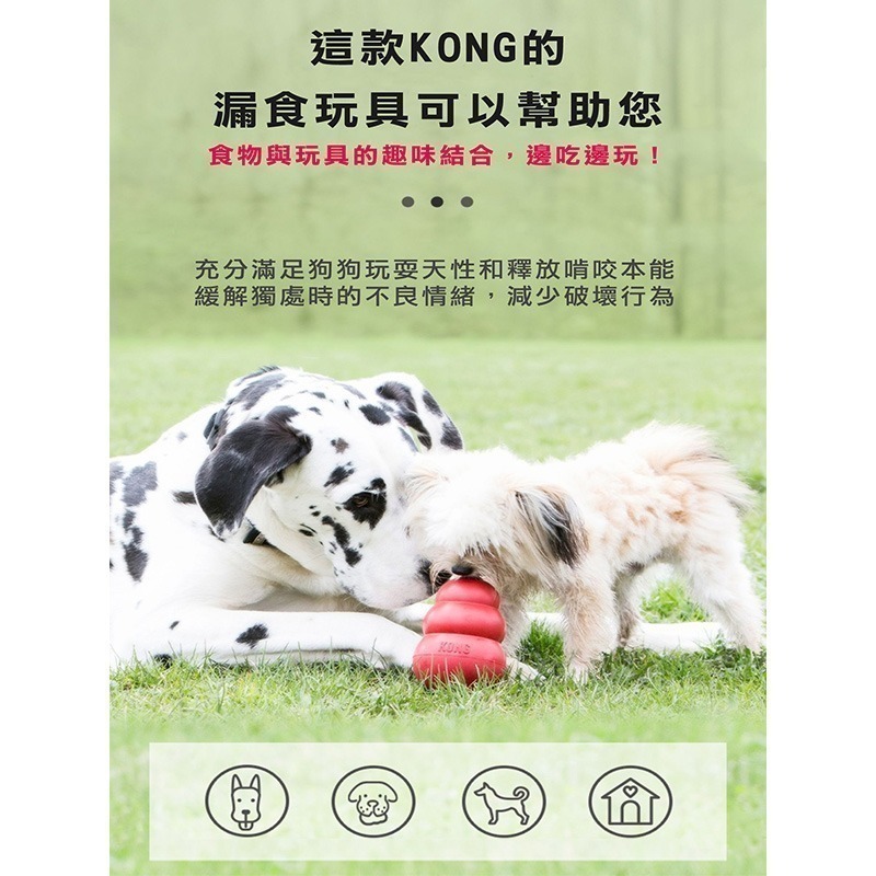 KONG 超耐咬葫蘆玩具 (粉藍隨機-幼犬) 美國製造 寵物玩具 漏食球-細節圖4