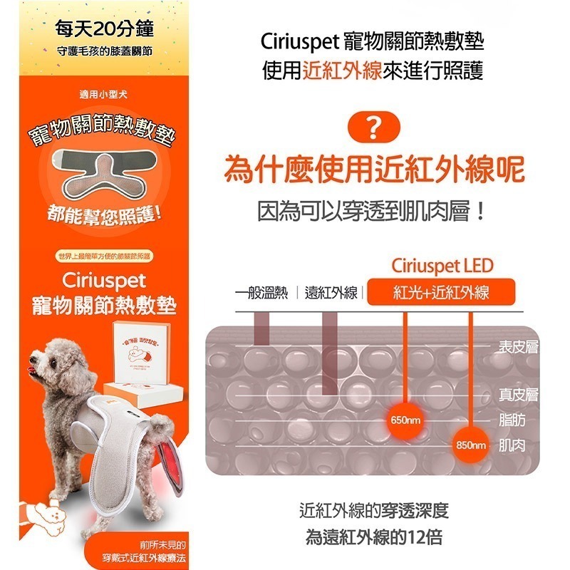 Cirius pet 近紅外線寵物關節熱敷墊 (加附 MINIQ智慧型USB變壓器x1)-細節圖3