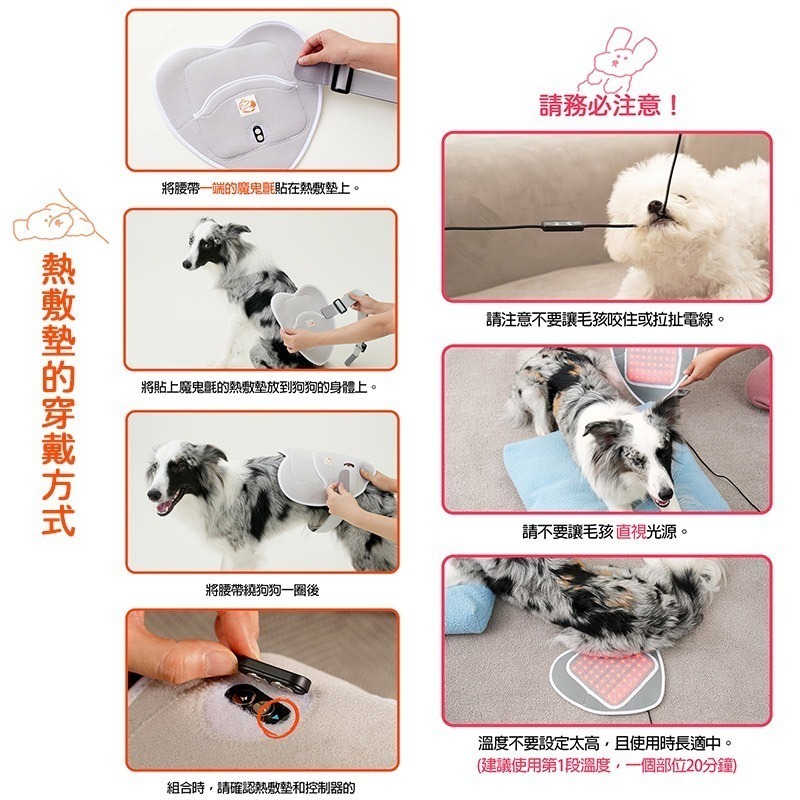 Cirius pet 近紅外線寵物愛心熱敷毯 (加附 MINIQ智慧型USB變壓器x1)-細節圖10