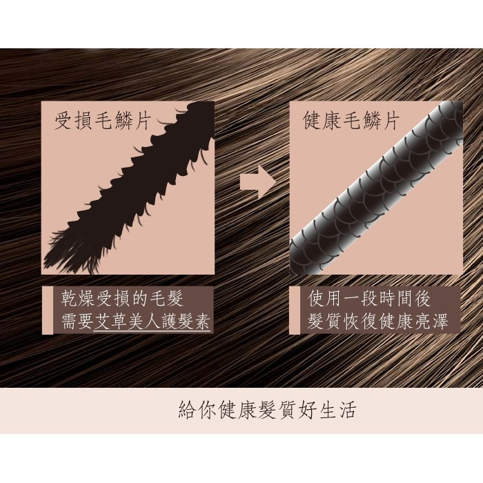 【台灣製 艾草之家】 艾草美人護髮素 520ml/瓶 艾草 護髮 胺基酸 受損髮 強健髮根-細節圖2