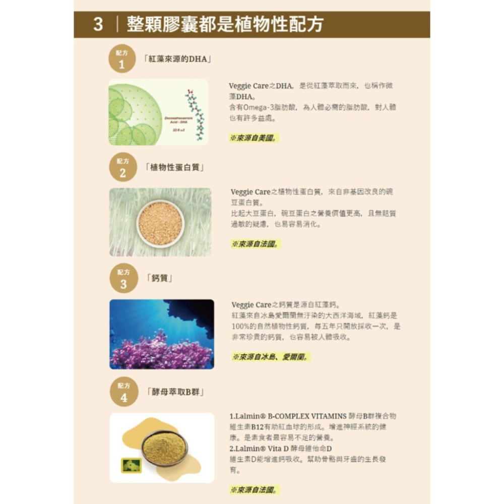 台灣現貨秒發 Veggie Care 素食者綜合補充膠囊 (60顆/瓶)(全素食品)素食者綜合補充膠囊-細節圖8