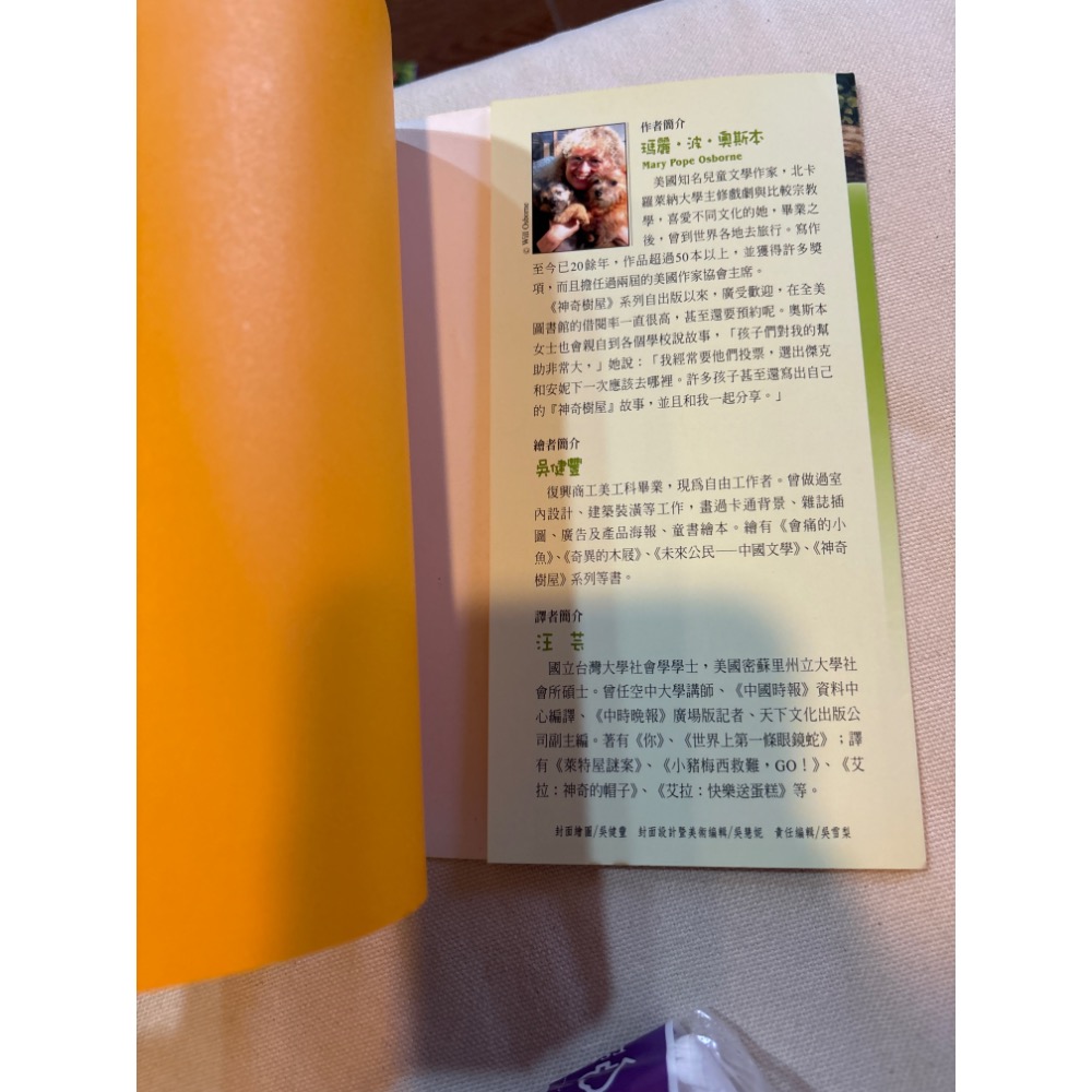 《魔法師大對決》二手書。兩處斑點（見圖）-細節圖4