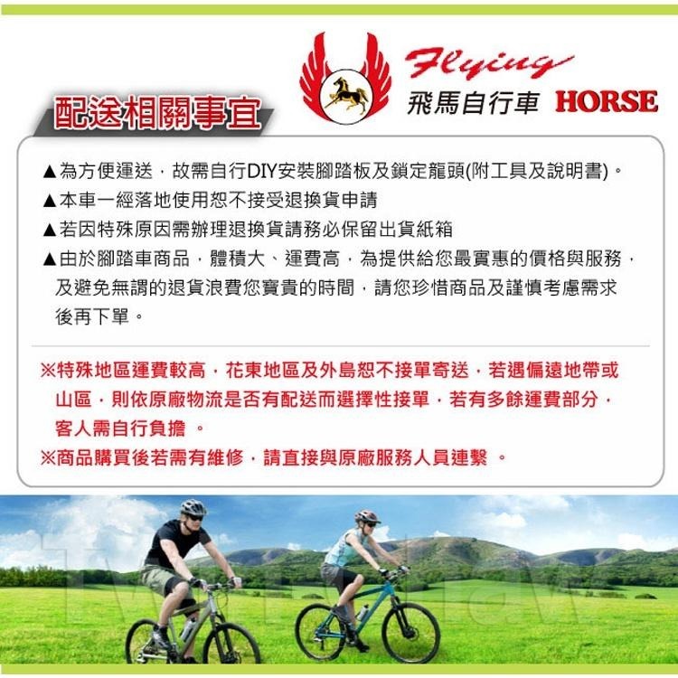 【飛馬】20吋折疊男車 21速 黑色 白色 520-49 520-49-2-細節圖3