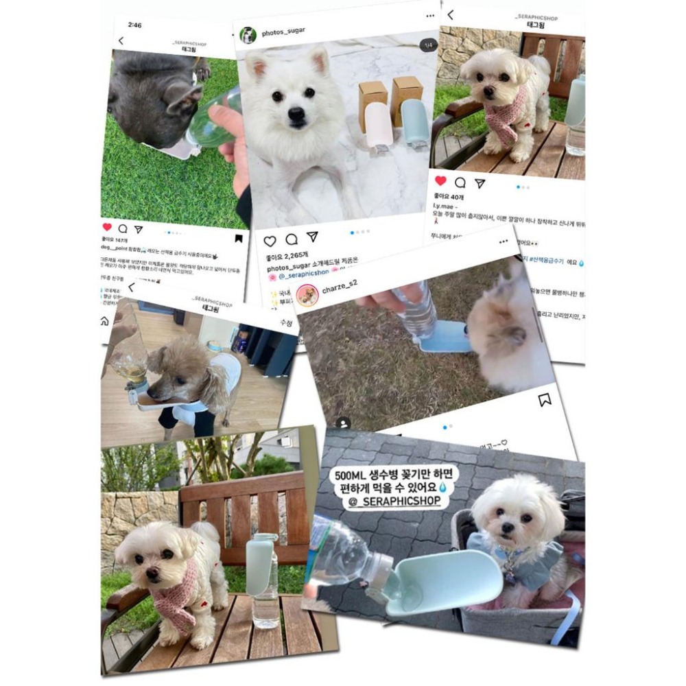 【Pami Go】《免運 可分期》寵物外出飲水器 分水器 分裝器 喝水 飲水-細節圖9