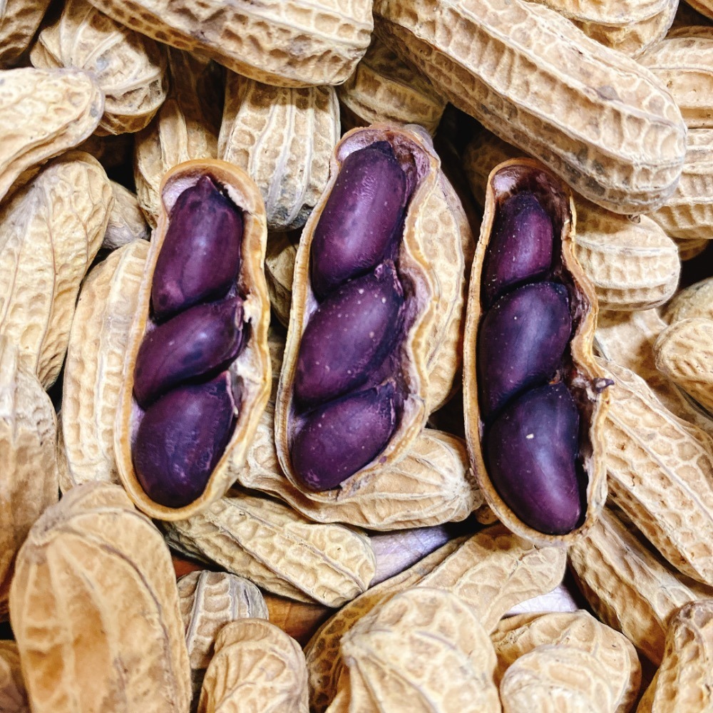 新2025年當季 北港黑金剛花生 🥜 黑金剛花生 🥜 粒粒有仁 雲林元長名產 過年 喜氣 送禮 帶殼花生 泡茶聊天必-規格圖2