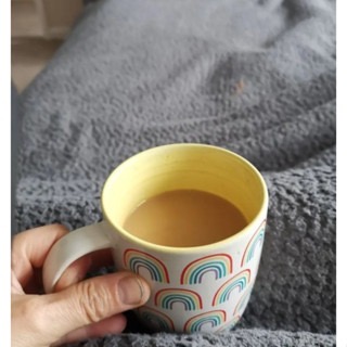 【現貨】100入-英國Taylor＇s of Harrogate Yorkshire紅茶100入 平均一包3.5元!-細節圖5