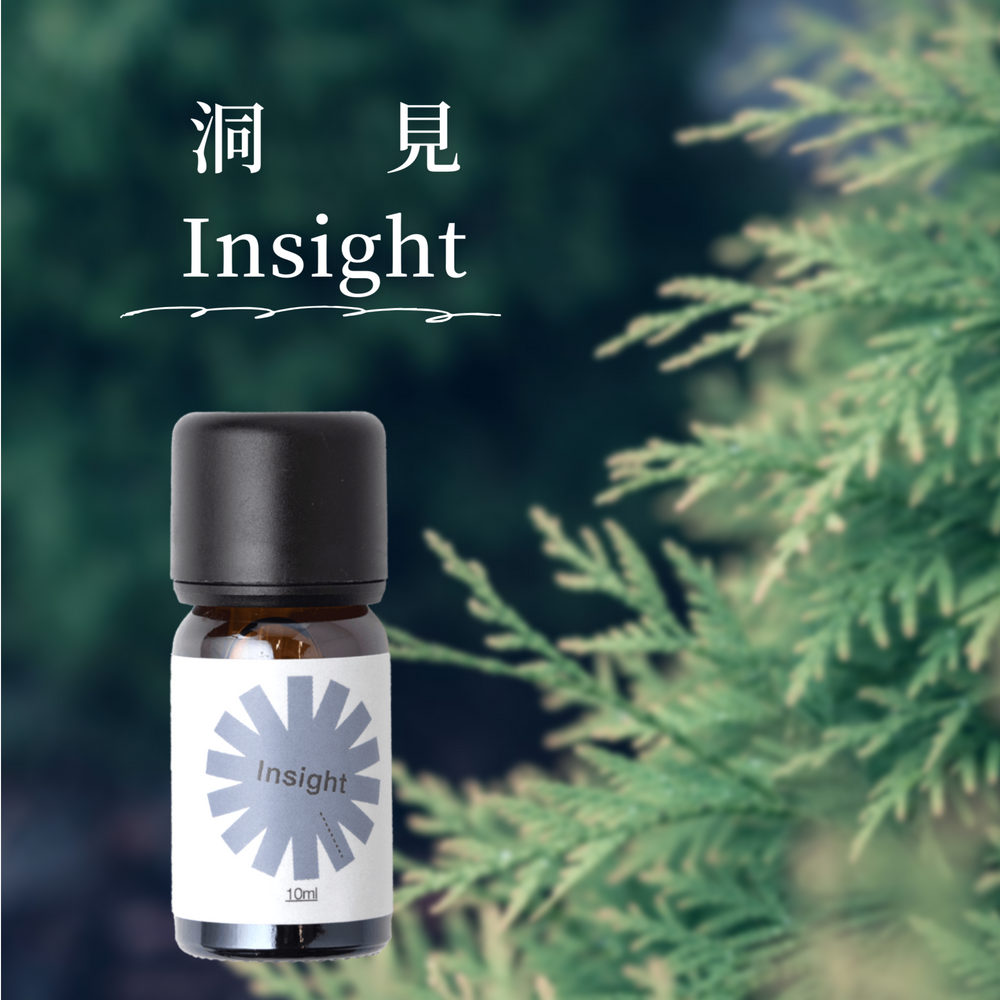 【天然複方精油】木質類人格 - Insight 洞見-細節圖2