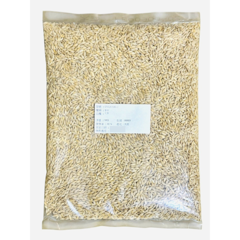 【天橙種子】大麥草種子 500公克/ 1公斤裝 貓草種子 芽菜種子 無藥劑處理  美國進口 高發芽率  附種植說明-細節圖2