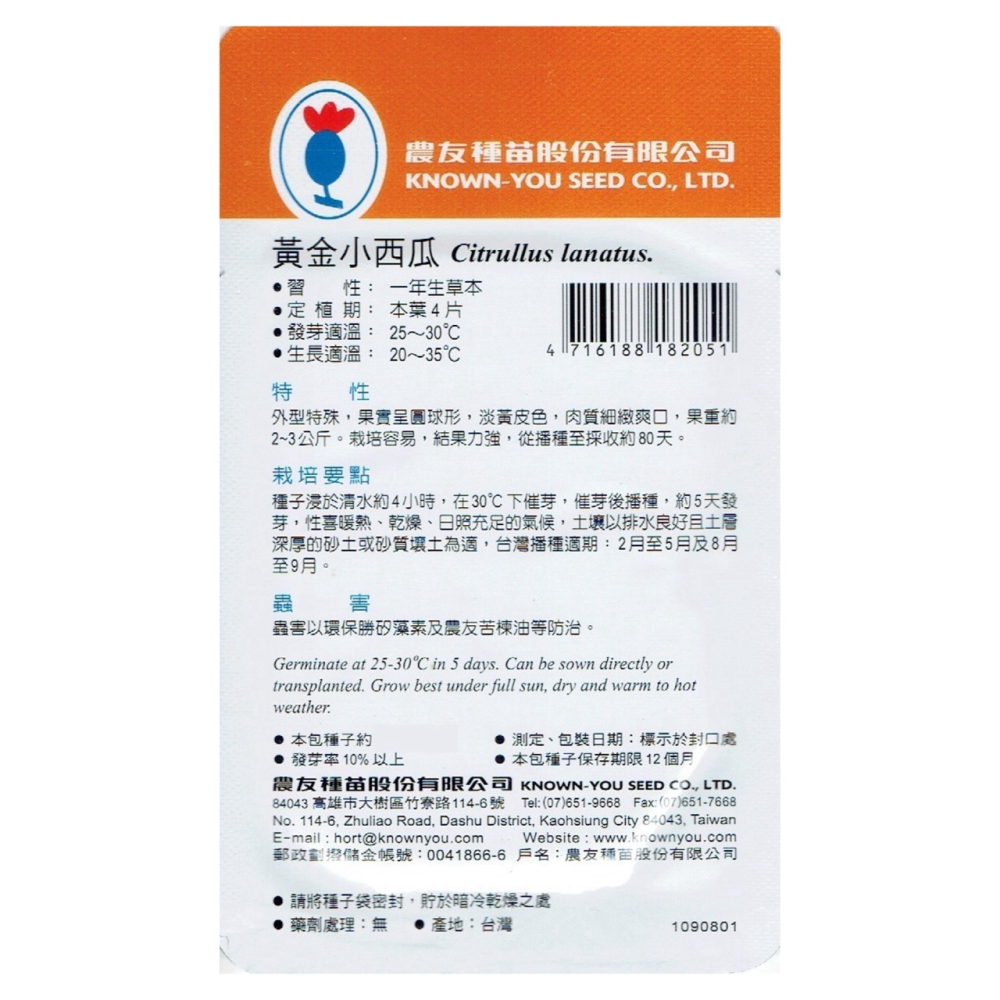 【天橙種子】黃金小西瓜種子 SV-205 約10粒 特選種子 水果類種子 農友種苗 家庭園藝 彩色原包裝-細節圖2
