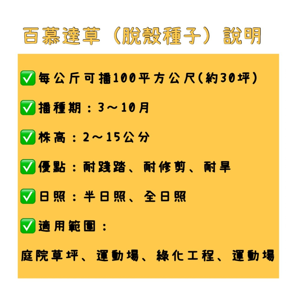 【天橙種子】百慕達草種子 已脫殼純種子 1公斤 狗牙根 美國進口 高發芽率 庭園草坪 快速綠化用-細節圖2