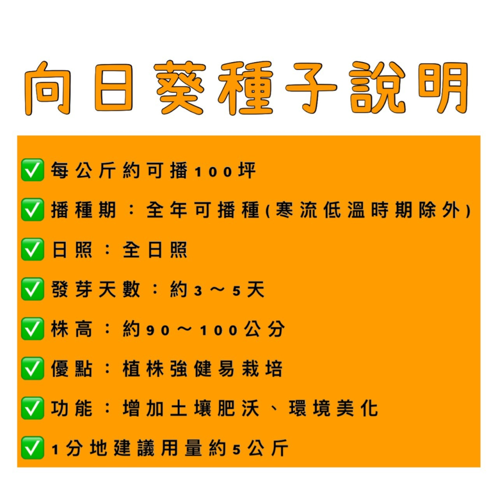 【天橙種子】向日葵種子 1公斤 花海景觀種子 田間/景觀/綠肥用 全年可播種 新社花海同款  附種植說明-細節圖2